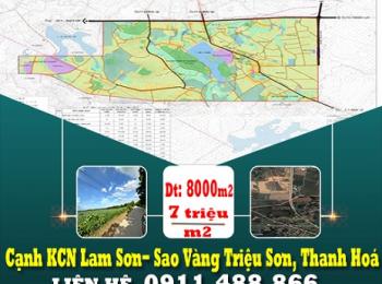 Chính chủ bán 8000m2, đất mặt tiền đường số 4 trục chính KCN Lam Sơn, Sao Vàng, full thổ cư (đã tách sổ)